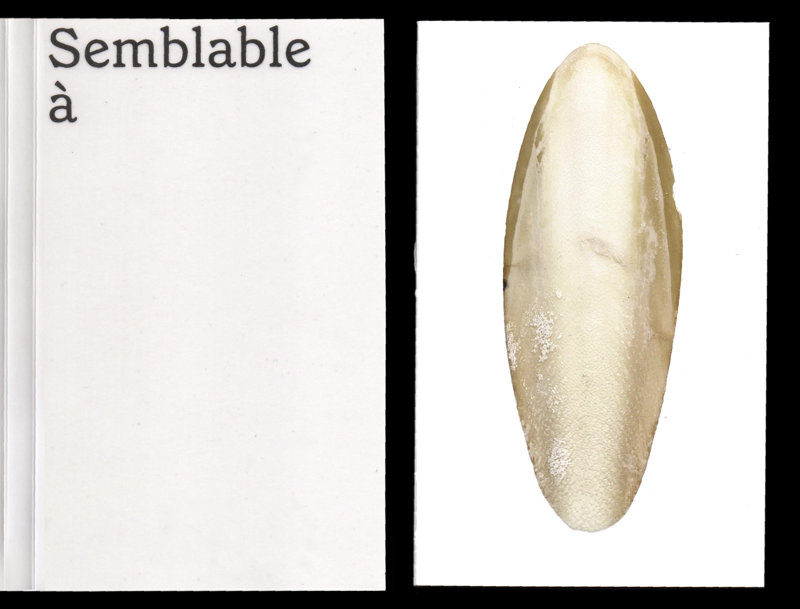 Couvertures du catalogue de l'exposition