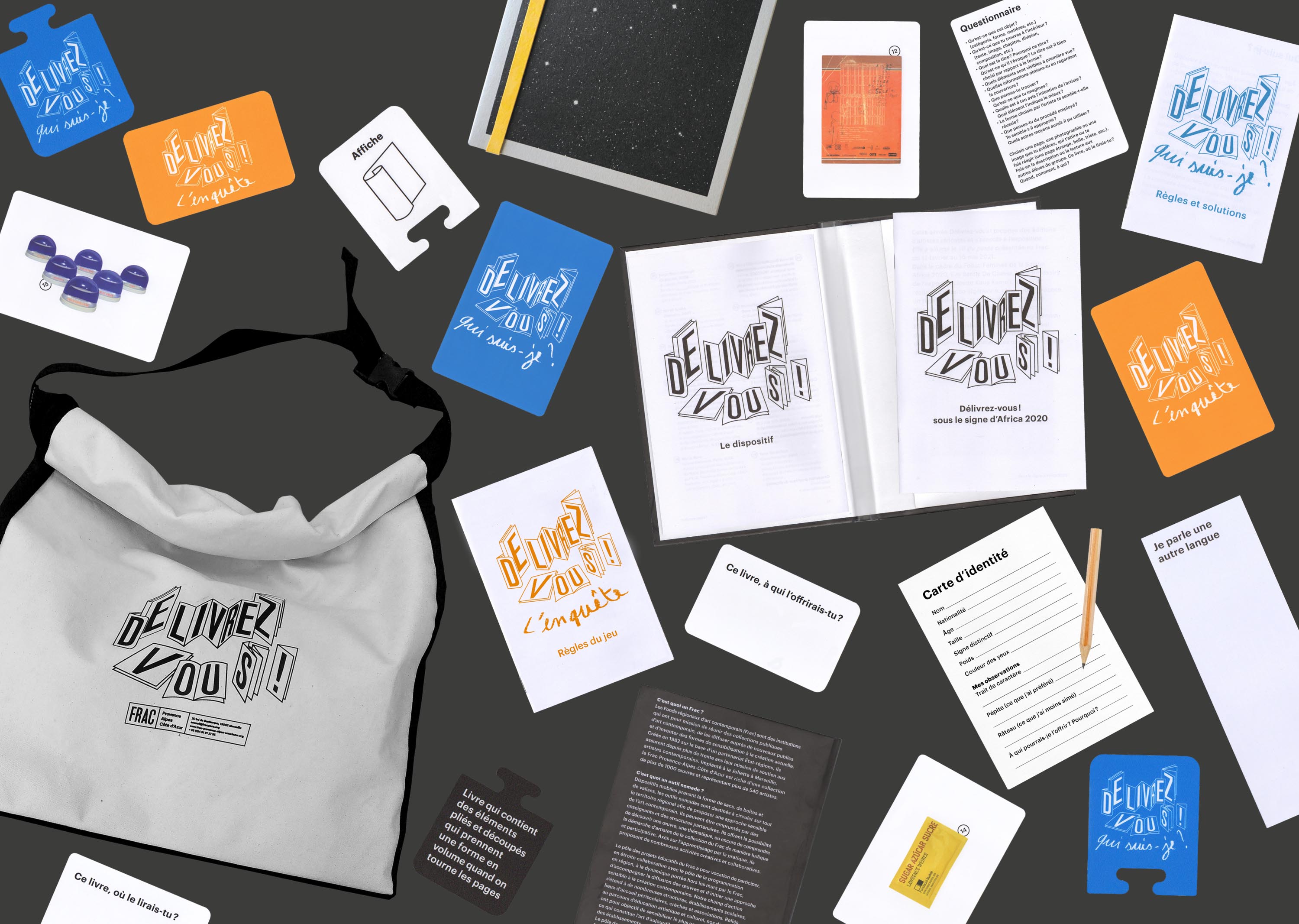 Vue des divers éléments du dispositif éducatif “Délivrez-vous” 