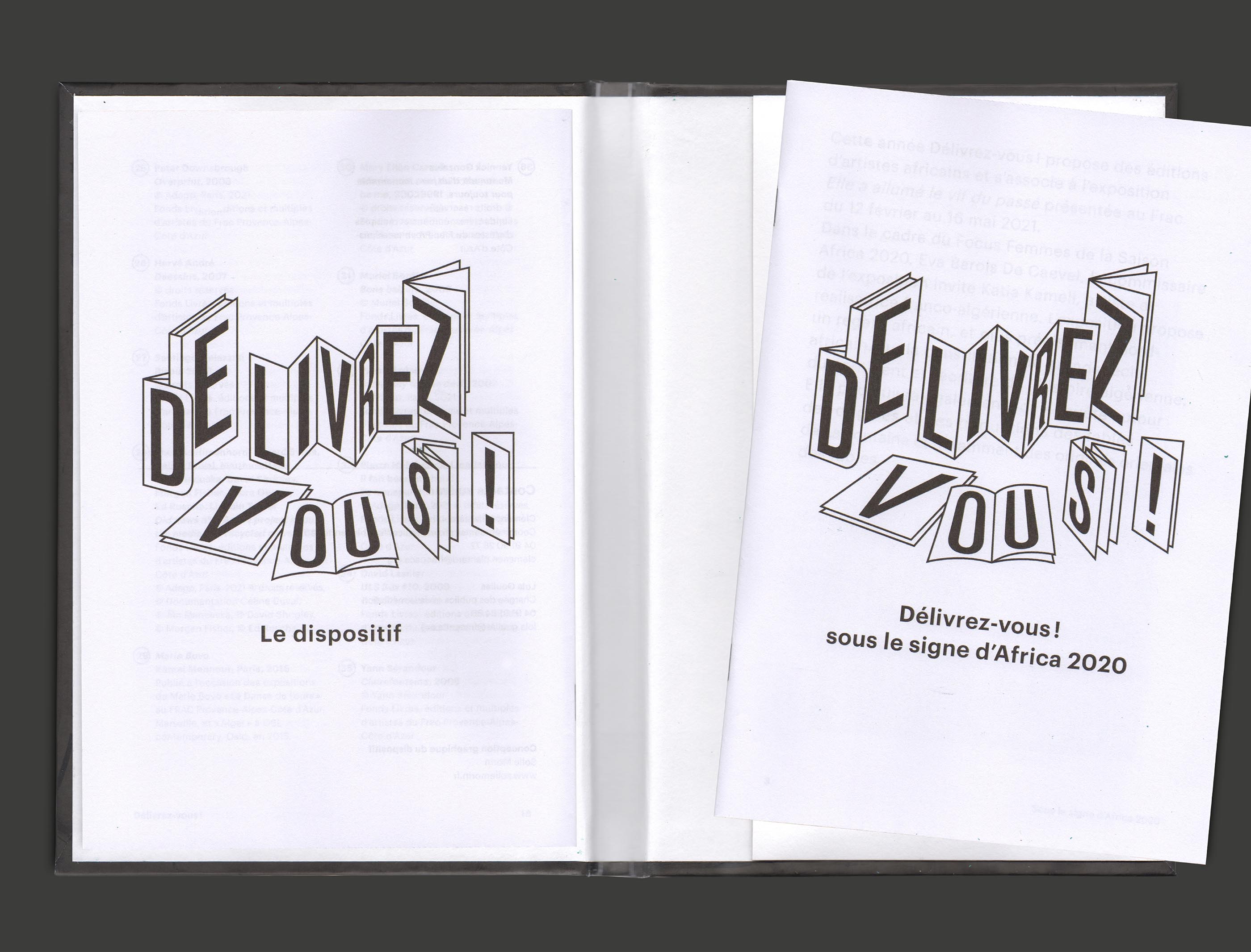 Vue de pages intérieures du livre principal du dispositif éducatif “Délivrez-vous” 